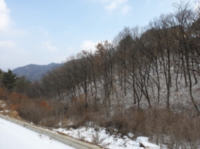 충청북도 단양군 대강면 직티리 354-16 외 33필지 종교시설 경매 사진 4