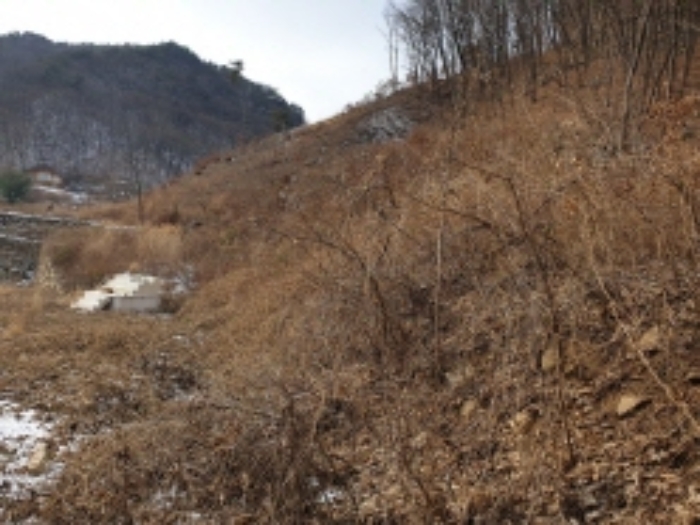 충청북도 단양군 대강면 직티리 354-16 외 33필지 종교시설 경매 사진 35
