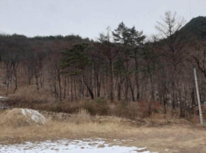 충청북도 단양군 대강면 직티리 354-16 외 33필지 종교시설 경매 사진 51
