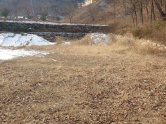 충청북도 단양군 대강면 직티리 354-16 외 33필지 종교시설 경매 사진 52