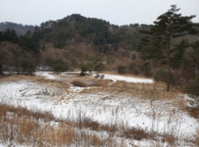 충청북도 단양군 대강면 직티리 354-16 외 33필지 종교시설 경매 사진 57