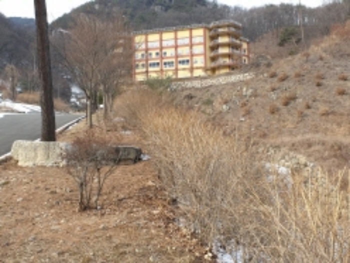 충청북도 단양군 대강면 직티리 354-16 외 33필지 종교시설 경매 사진 64