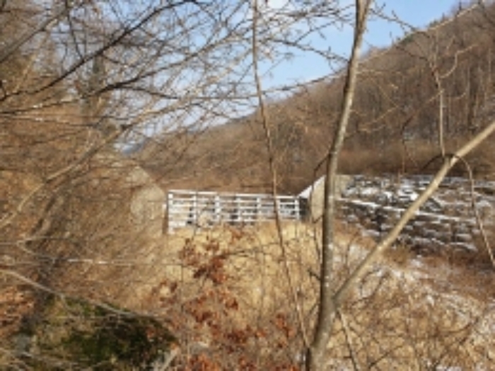 충청북도 단양군 대강면 직티리 354-16 외 33필지 종교시설 경매 사진 9