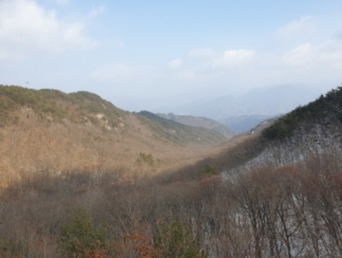 충청북도 단양군 대강면 직티리 354-16 외 33필지 종교시설 경매 사진 92
