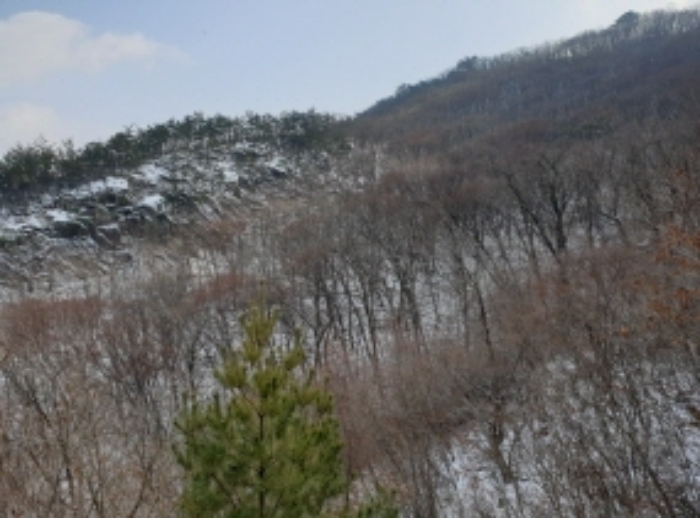 충청북도 단양군 대강면 직티리 354-16 외 33필지 종교시설 경매 사진 93