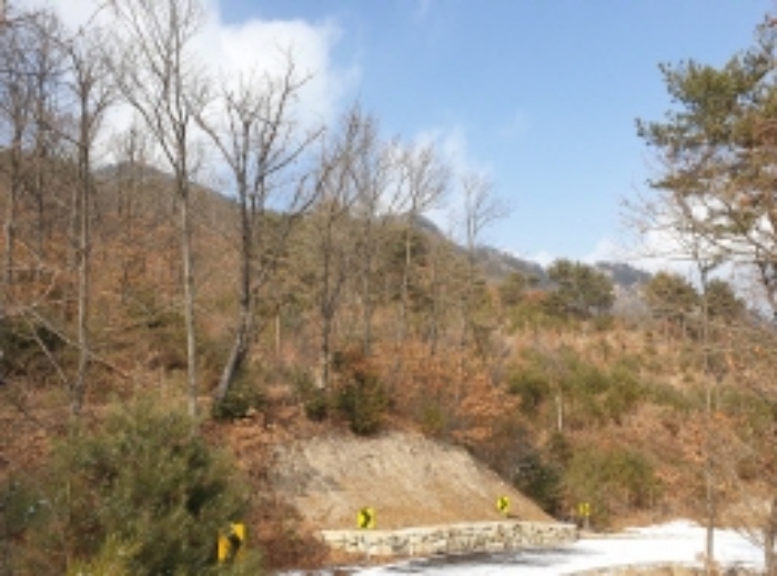 충청북도 단양군 대강면 직티리 354-16 외 33필지 종교시설 경매 사진 97