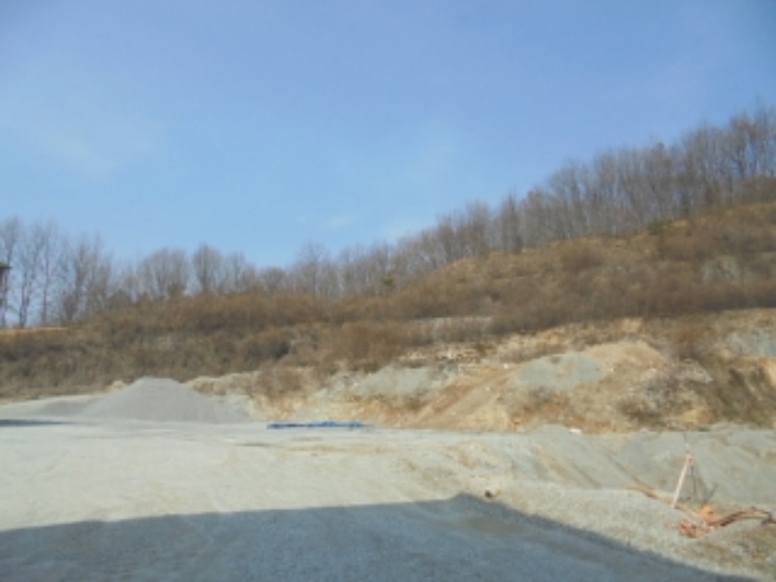 충청남도 부여군 석성면 석성리 213 외 13필지 근린생활시설 경매 사진 5