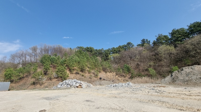 충청남도 부여군 석성면 석성리 213 외 13필지 근린생활시설 경매 사진 44