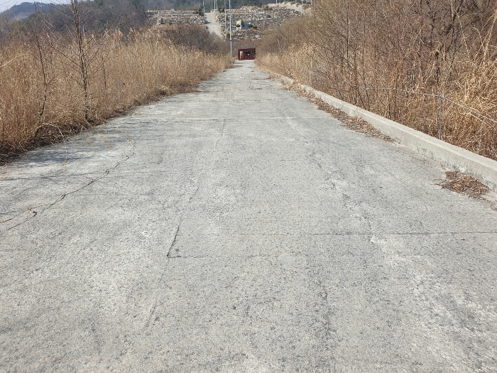 경상남도 산청군 신안면 안봉리 산24-19 외 4필지 임야 경매 사진 12