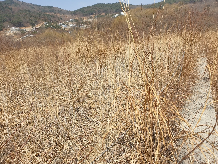 경상남도 산청군 신안면 안봉리 산24-19 외 4필지 임야 경매 사진 13