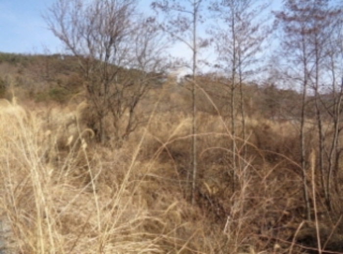 경상남도 산청군 신안면 안봉리 산24-19 외 4필지 임야 경매 사진 5
