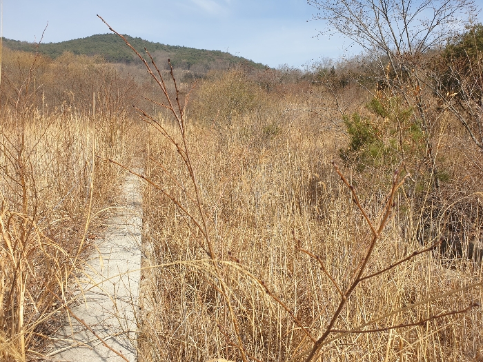 경상남도 산청군 신안면 안봉리 산24-19 외 4필지 임야 경매 사진 8