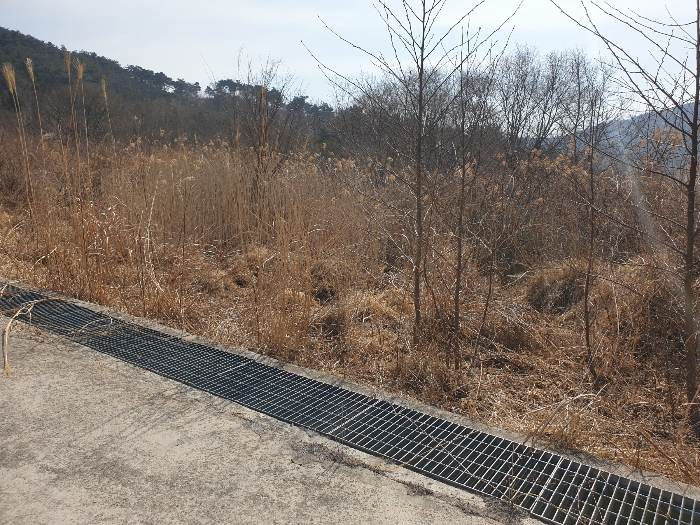 경상남도 산청군 신안면 안봉리 산24-19 외 4필지 임야 경매 사진 9