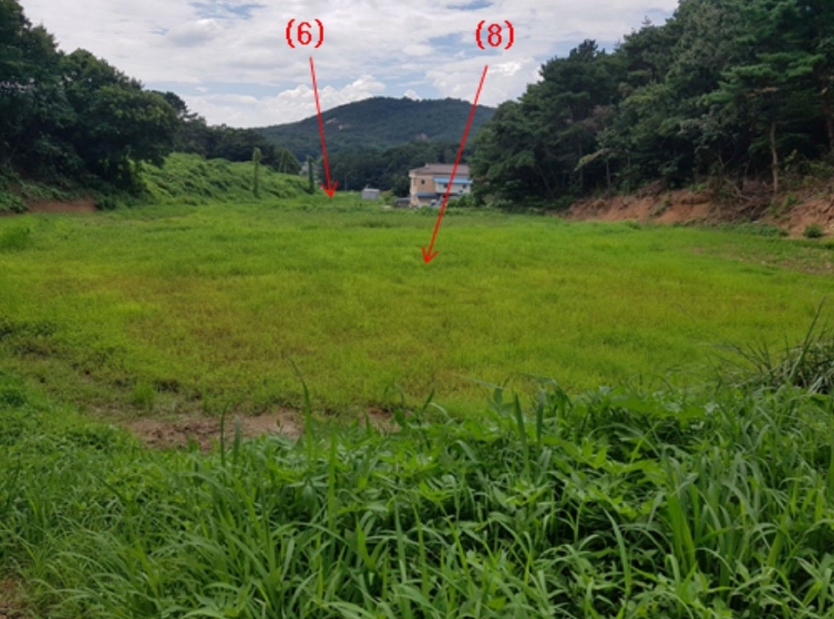 충남 서산시 해미면 오학리 38-6 외 4필지 단독주택 경매 사진 13