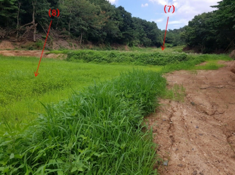 충남 서산시 해미면 오학리 38-6 외 4필지 단독주택 경매 사진 15