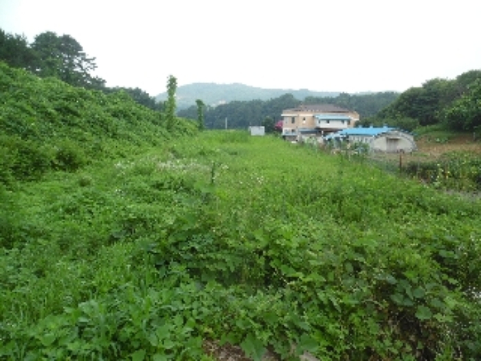 충남 서산시 해미면 오학리 38-6 외 4필지 단독주택 경매 사진 34