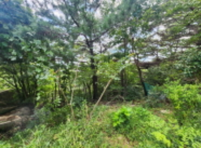 경상남도 양산시 동면 가산리 483-2 외 9필지 과수원 경매 사진 11