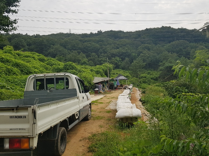 경상남도 양산시 동면 가산리 483-2 외 9필지 과수원 경매 사진 19
