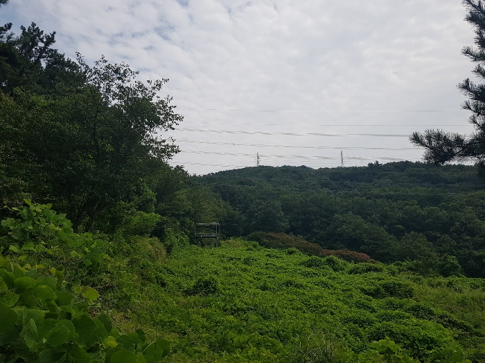 경상남도 양산시 동면 가산리 483-2 외 9필지 과수원 경매 사진 21