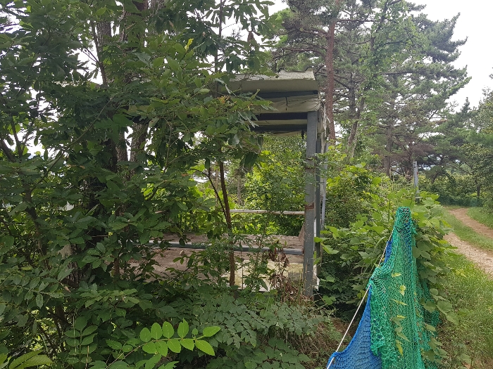 경상남도 양산시 동면 가산리 483-2 외 9필지 과수원 경매 사진 26