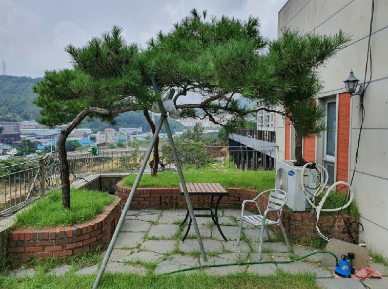 경기 광주시 초월읍 지월리 565-23 외 5필지 근린생활시설 경매 사진 58