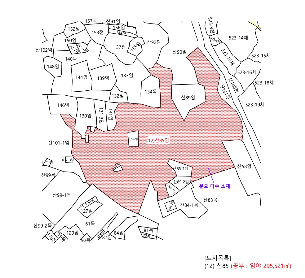 제주특별자치도 제주시 애월읍 봉성리 130 외 14필지 임야 경매 사진 81