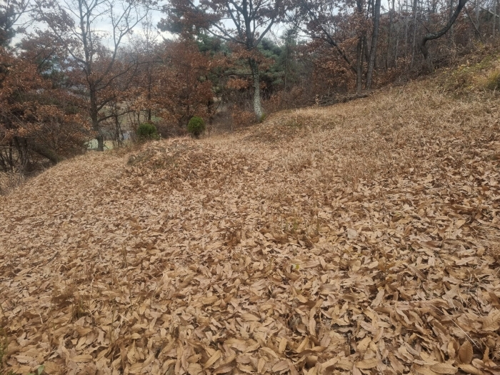 경상남도 함안군 칠북면 화천리 86-5 전 경매 사진 15