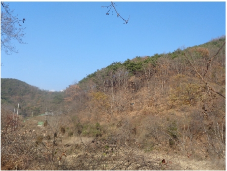 전라남도 순천시 서면 구상리 산127 외 1필지 임야 경매 사진 1
