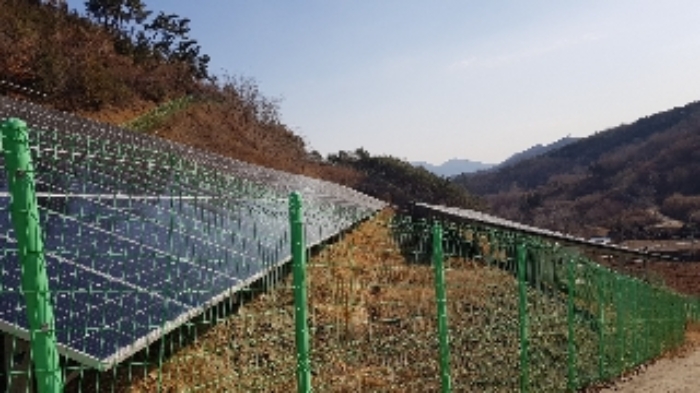 전라남도 순천시 서면 구상리 산127 외 1필지 임야 경매 사진 11