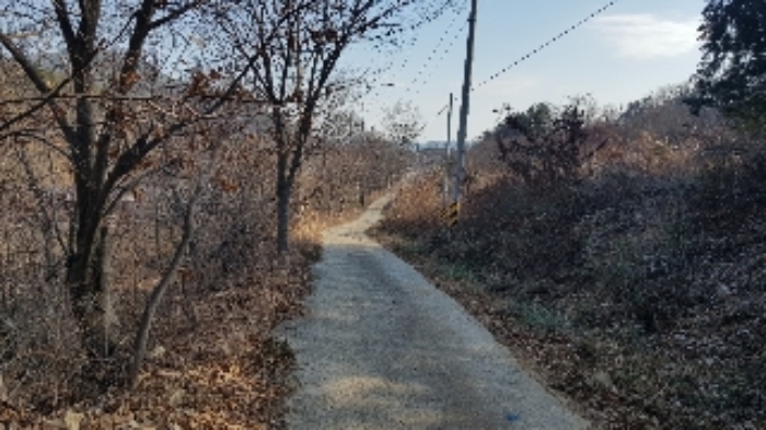 전라남도 순천시 서면 구상리 산127 외 1필지 임야 경매 사진 17