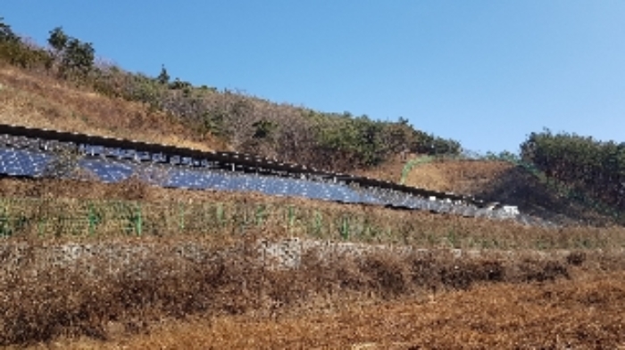 전라남도 순천시 서면 구상리 산127 외 1필지 임야 경매 사진 3