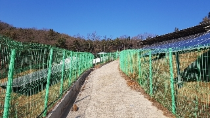 전라남도 순천시 서면 구상리 산127 외 1필지 임야 경매 사진 5