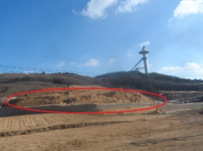 강원 평창군 임야