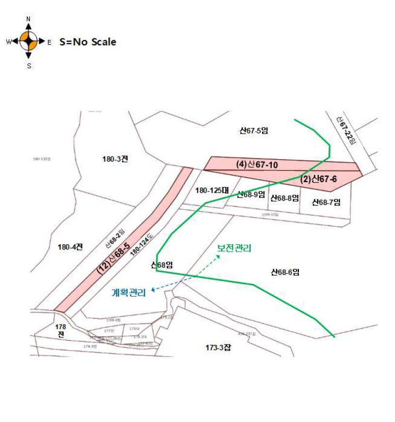 강원도 평창군 대관령면 용산리 산67-5 외 11필지 임야 경매 사진 5