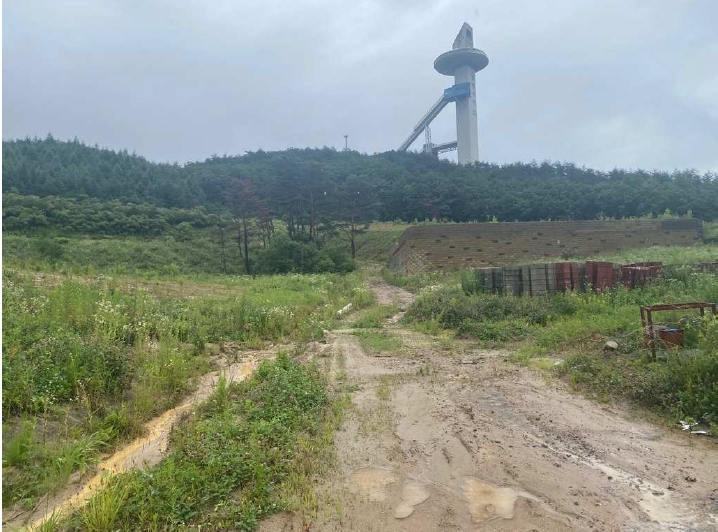 강원도 평창군 대관령면 용산리 산67-5 외 11필지 임야 경매 사진 6