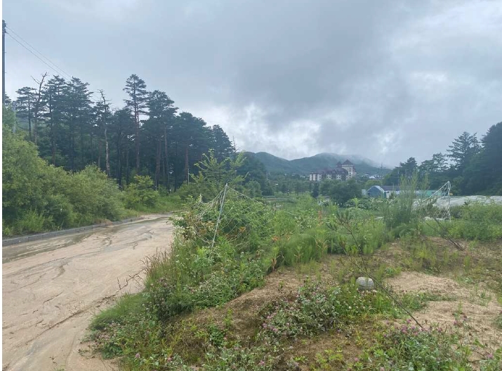 강원도 평창군 대관령면 용산리 산67-5 외 11필지 임야 경매 사진 9