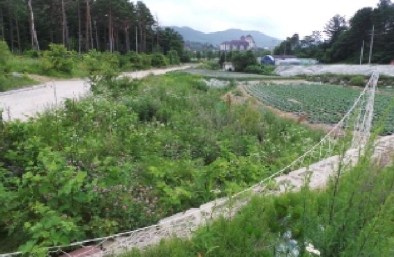 강원도 평창군 대관령면 용산리 산67-5 외 11필지 임야 경매 사진 10