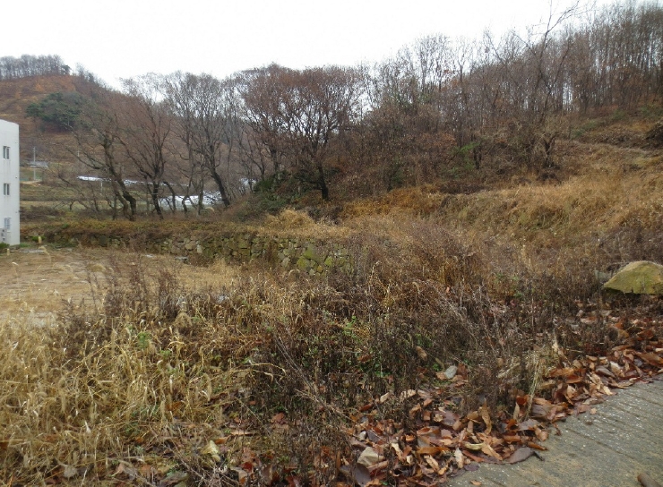충남 천안시 동남구 병천면 관성리 138 외 11필지 단독주택 경매 사진 20