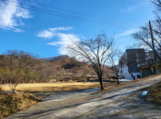 충남 천안시 동남구 병천면 관성리 138 외 11필지 단독주택 경매 사진 23