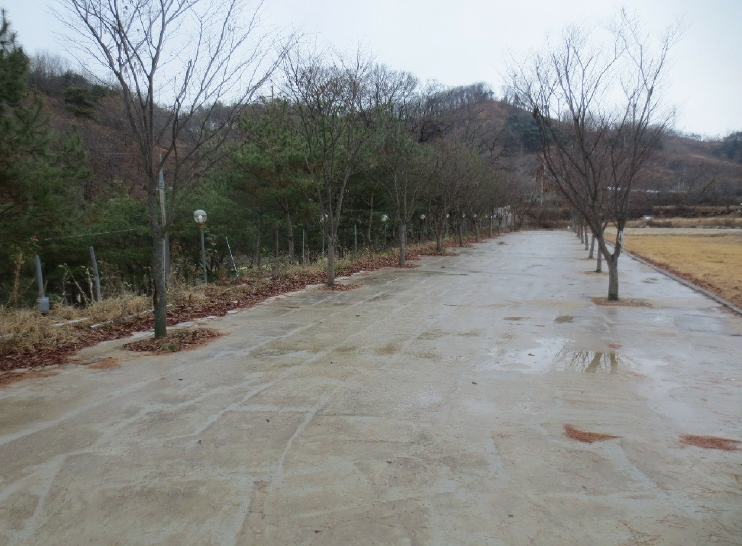 충남 천안시 동남구 병천면 관성리 138 외 11필지 단독주택 경매 사진 26