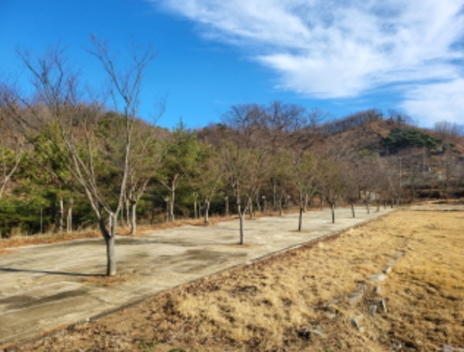 충남 천안시 동남구 병천면 관성리 138 외 11필지 단독주택 경매 사진 28