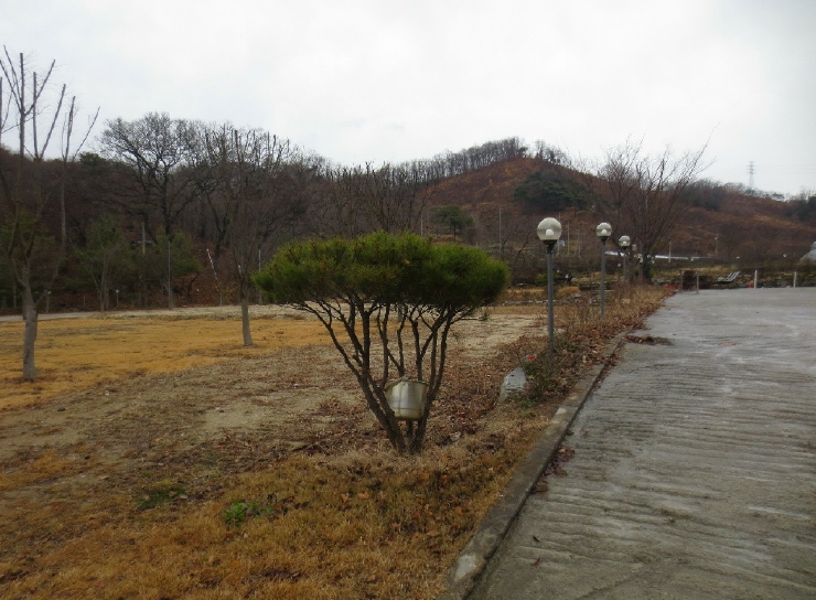 충남 천안시 동남구 병천면 관성리 138 외 11필지 단독주택 경매 사진 29