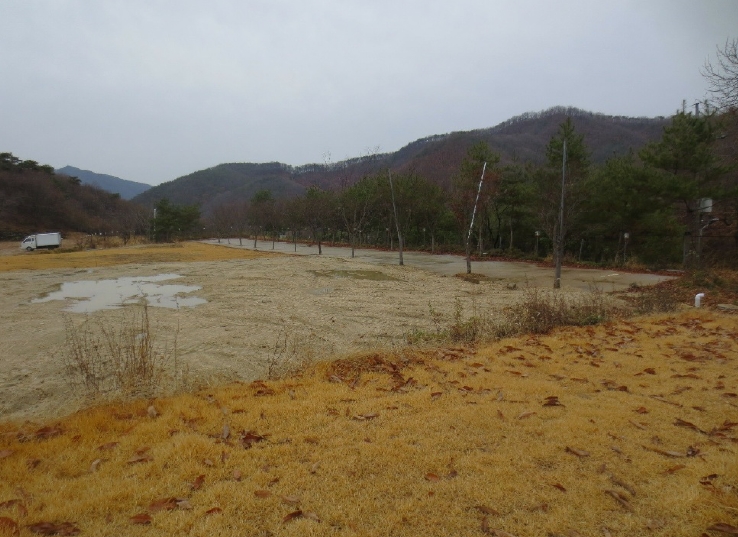 충남 천안시 동남구 병천면 관성리 138 외 11필지 단독주택 경매 사진 31