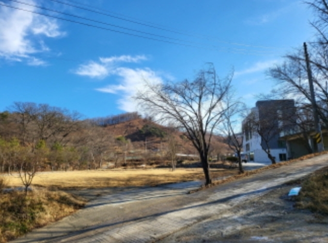 충남 천안시 동남구 병천면 관성리 138 외 11필지 단독주택 경매 사진 33
