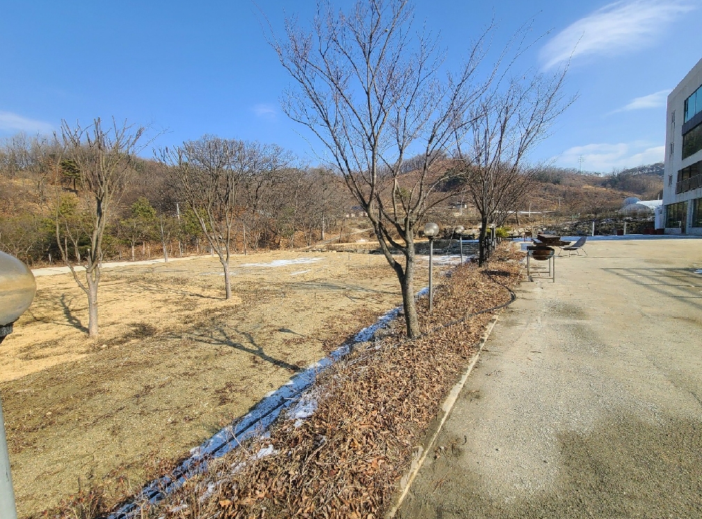 충남 천안시 동남구 병천면 관성리 138 외 11필지 단독주택 경매 사진 34