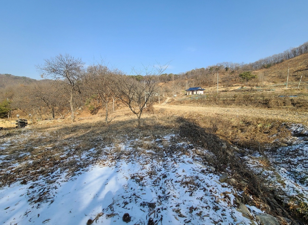 충남 천안시 동남구 병천면 관성리 138 외 11필지 단독주택 경매 사진 41