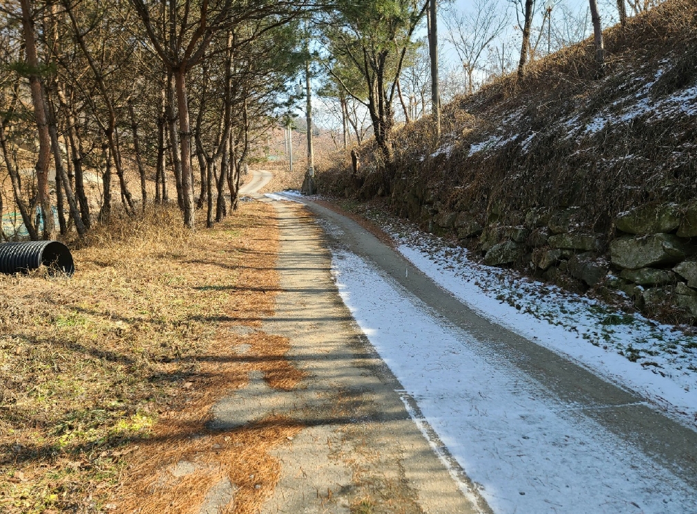 충남 천안시 동남구 병천면 관성리 138 외 11필지 단독주택 경매 사진 43