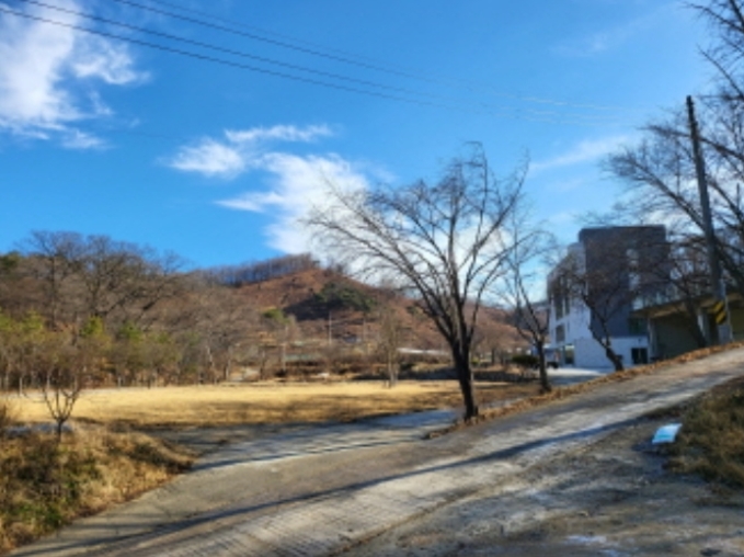 충남 천안시 동남구 병천면 관성리 138 외 11필지 단독주택 경매 사진 10