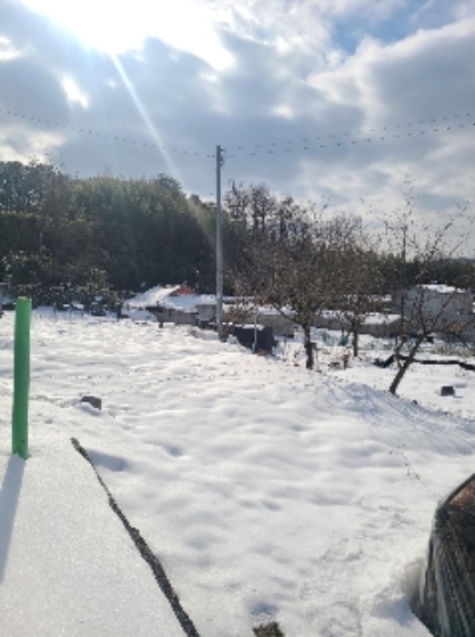 전라남도 장성군 북이면 신평리 238 외 1필지 대지 경매 사진 12