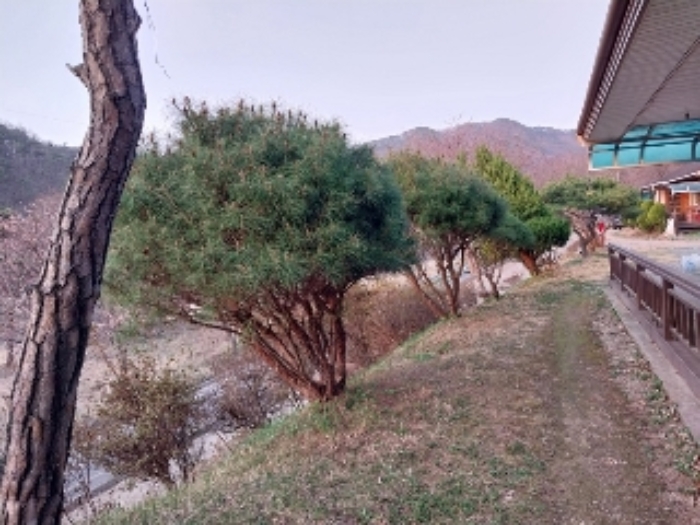 충청남도 청양군 대치면 작천리 136-2 단독주택 경매 사진 21